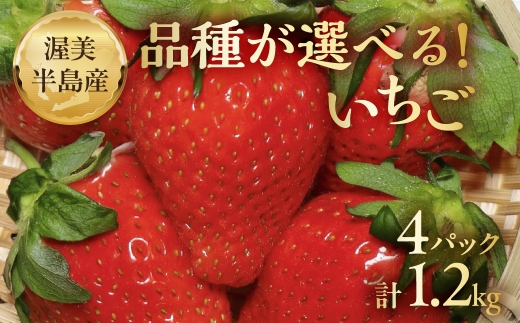 《先行予約》品種が選べる 渥美半島産 いちご 300g × 4パック やよいひめ ベリーポップはるひ いちご 苺 イチゴ フルーツ 果物 くだもの 春 旬 季節 期間限定 季節限定 ストロベリー ベリー
