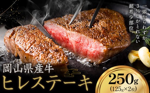 牛肉 国産 ヒレ ステーキ 岡山県産牛 250g (125g×2枚)《60日以内に出荷予定(土日祝除く)》 岡山県 笠岡市 肉 ステーキ 高級部位 希少部位 グルメ お取り寄せグルメ