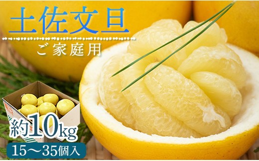 【令和9年1月下旬発送開始】土佐文旦 約10kg 家庭用 訳あり 15玉〜35玉 高知県 大玉  10キロ - 訳アリ 傷 果物 文旦 ぶんたん ブンタン フルーツ 柑橘 香南市産 高知県 数量限定 期間限定 季節限定 旬 常温 10000円以上 1万円以上 ku-0058