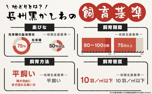 長州黒かしわの素びなは、在来種75％です。※地鶏生産基準の場合、在来種50％以上です。