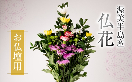 【通常配送 日時指定可】産地直送 《お仏壇用》 仏花 日時指定可 生産額 日本一 田原市 渥美半島 月命日 お彼岸 鮮度 生花 お花 お墓まいり