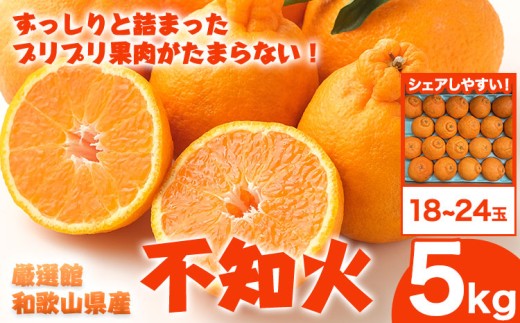 不知火 和歌山県産 不知火 約5kg (18～24玉) 日高町厳選館《2027年2月中旬-3月下旬頃出荷》和歌山県 日高町 送料無料 柑橘 柑橘類 でこぽん 不知火 しらぬい デコ デコポン