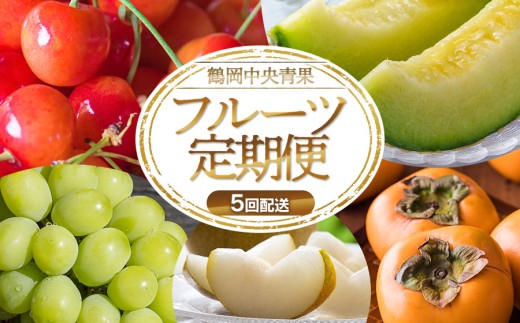 【令和8年産先行予約】 フルーツの定期便【5回お届け】　山形県鶴岡市　鶴岡中央青果　| 果物定期便 果物 くだもの フルーツ サクランボ メロン 梨 シャインマスカット 庄内柿 旬 2026年産 人気 美味しい お取り寄せ 返礼品 2584088 - 山形県鶴岡市