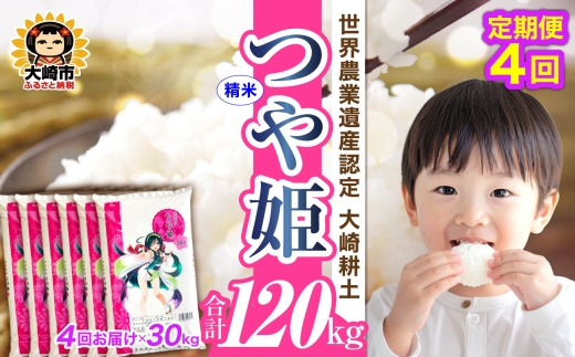 定期便《精米》令和7年 宮城県産 つや姫 30kg(5kg×6)×4回(計120kg)