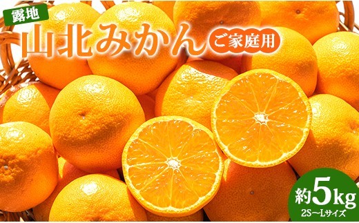 【令和8年10月下旬発送開始】山北みかん 5kg(家庭用・露地) - 甘い 果物 フルーツ 温州みかん ミカン 2026 先行受付 柑橘 おいしい 甘い 送料無料 栄養 ビタミン S M L s m l サイズ 小玉 大玉 箱  高知県 香南市 常温 5キロ 5kg ku-0054
