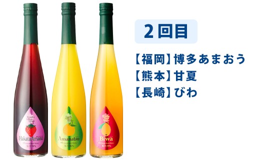 【6ヶ月定期便】九州を飲む!毎月届く九州果実シロップ飲み比べセット