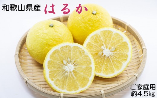 【さわやか柑橘】和歌山県産はるかみかん約4.5kg（サイズ混合　ご家庭用）※2027年2月下旬～2027年3下旬頃順次発送【tec954】