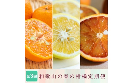 定期便全3回 【2月・3月・4月発送】 和歌山の春の柑橘 （ポンカン・はるか・ブラッドオレンジ）秀品【tkb452】  2592411 - 和歌山県串本町