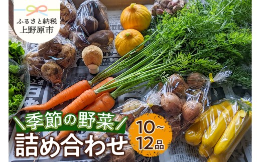 ★2026年先行予約★季節の野菜詰め合わせ（10～12品）