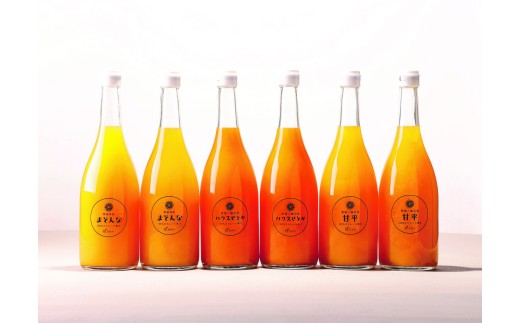 高級柑橘3種ジュース各2本 計6本セット＜G56-61＞【1606167】 YWTAS051