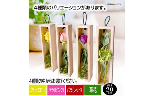 ＜4種類から選べる＞水のいらない花　ゼロフラワー「花いちりん」 S　SL0277