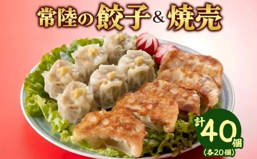 餃子＆焼売 各20個 皆の餃子 餃子 ぎょうざ ギョーザ 生 揚げ にんにく 国産 手づくり 常陸の焼売 焼売 シュウマイ しゅうまい 生姜 本格 中華 おかず アンテナショップ 地産地消 茨城食材 送料無料 茨城県 水戸市（OG-18) 2584099 - 茨城県水戸市
