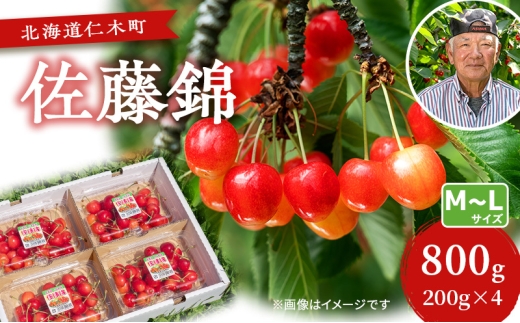 先行受付 さくらんぼ【 佐藤錦 】800g（200g×4）M-Lサイズ混合  サクランボ チェリー フルーツ 果物 果物類 ギフト 北海道 仁木町 仁木 [横山農園]