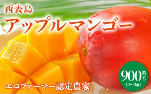 満足度NO.1！1玉1玉検品し、樹上完熟で糖度14度以上のみ発送します！ 西表島プレミアムマンゴー900g