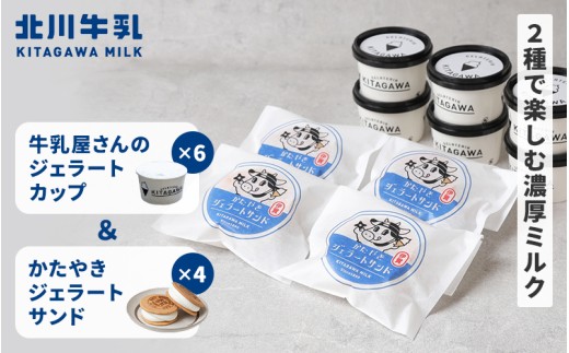 牛乳屋さんのジェラートカップ6個＆かたやきジェラートサンド4個セット【kggn0004】