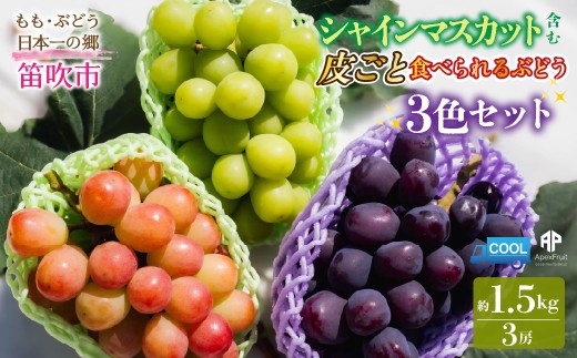 【2026年発送先行予約】笛吹市産　シャインマスカット含む 皮ごと食べられる3色ぶどうセット　約1.5kg 205-019-26y