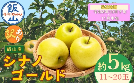 【先行予約丨2026年10月下旬より順次発送】訳あり シナノゴールド【約5kg(11〜20玉)】(At-024)丨長野県 飯山市 おすすめ ランキング おいしい 高評価 大人気 先取り 産地直送 りんご 訳あり 規格外