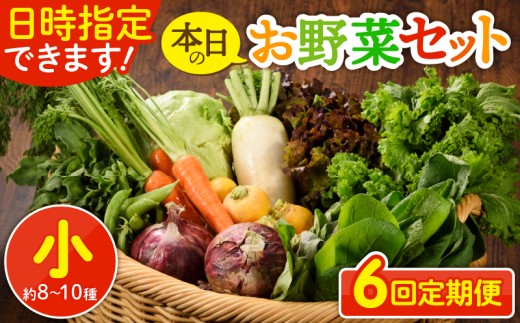 【6回定期便】日時指定OK！本日のお野菜セット 〈小サイズ/約8～10種〉 野菜詰め合わせ 有機栽培 野菜 定期便 果物 野菜セット 野菜定期便 6回 6ヵ月 野菜定期  産地直送_A0053-003