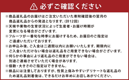 【12ヶ月定期便】熊本フルーツ定期便12カ月