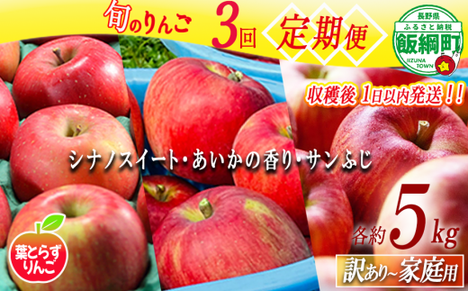【 定期便 / フレッシュ便 】 旬のりんご 家庭用 〜 訳あり 5kg × 3回 葉とらずりんご フレッシュフルーツミカズキ 沖縄県への配送不可 2026年10月中旬頃から2026年12月中旬頃までお申込み順に発送予定 令和8年度収穫分 リンゴ アップル シナノスイート あいかの香り サンフジ サンふじ 長野県 飯綱町 [2112]