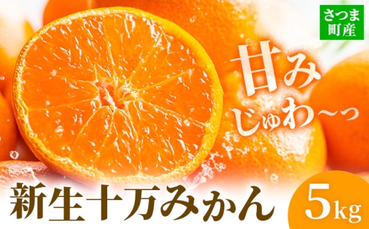 鹿児島県産 新生十万みかん 約5kg 祝迫果樹園《1月中旬-2月中旬頃出荷》鹿児島県 さつま町 みかん 十万みかん 蜜柑 柑橘 果物 くだもの フルーツ ジューシー 559509 - 鹿児島県さつま町