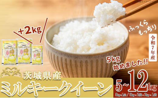 【 期間限定 】5kg換算8333円!12kg 2万円【 容量・単品・定期便・出荷月が選べる 】 令和7年産 茨城県産 ミルキークイーン 5kg  ( 5kg × 1袋 )  / 12kg ( 5kg × 2袋 + 2kg × 1袋 )【 米 お米 白米 茨城県産 ごはん こめ 国産 ミルキークイーン ふっくら もっちり 5kg 12kg 10kg 2kg 】