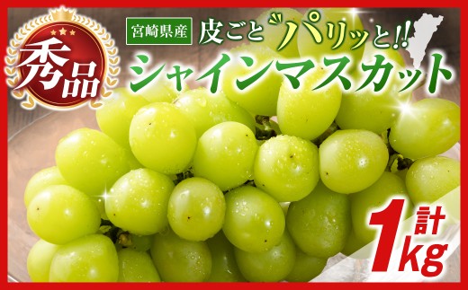 【令和8年発送 先行予約】小林市産 シャインマスカット 1kg(ブドウ ぶどう シャインマスカット マスカット フルーツ 果物 先行受付 限定)