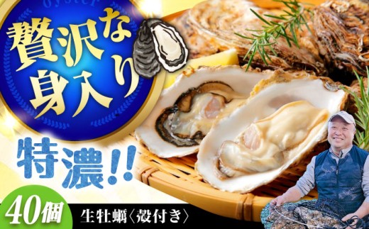 高品質の牡蠣を産地直送！ 【生牡蠣】【着日指定可能】『てつまるかき』牡蠣 殻付き 40個 加熱用 かき 海鮮 海産物 簡単 広島県産 江田島市/有限会社テツマル海産 [XCO008] 牡蠣 冷凍 むき身 殻付き 殻付 殻 かき カキ 生牡蠣 広島牡蠣 オイスター カキフライ 魚介類 魚介 貝類 海鮮 広島県産 国産 産地直送 贈答 ギフト 特産品