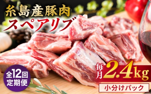 【全12回定期便】【 バーベキュー ・ 煮込み用 】約2.4kg 糸島産豚肉 スペアリブ 糸島市 / 糸島ミートデリ工房 [ACA334]