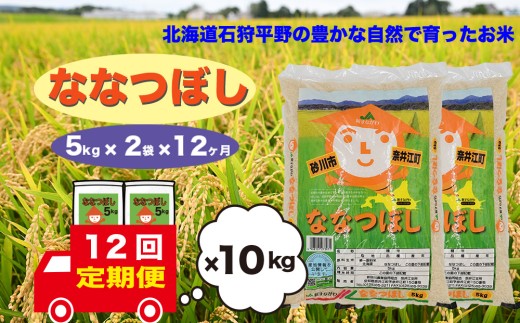 【定期便12回】北海道奈井江町 ななつぼし 10kg
