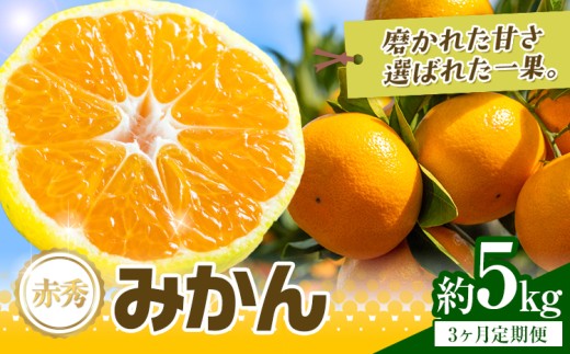 【3か月定期便】 先行予約 赤秀 みかん 旬 柑橘 蜜柑 鶴田農園 約5㎏×3回 《11月上旬-1月下旬頃出荷》極早生 早生 中生 晩生 フルーツ 果物 秋 旬 熊本県 荒尾市産 贈答 ギフト オレンジ 人気 おすすめ