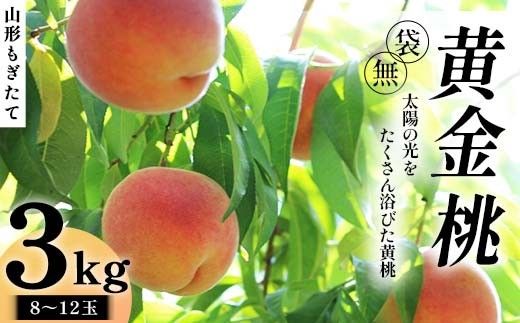 【先行受付 令和8年度発送】山形もぎたて『黄金桃』(無袋)3kg FSY-2538