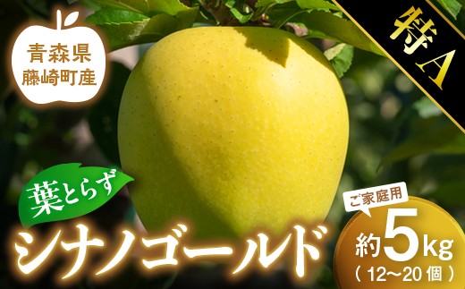 【先行予約】 葉とらず シナノゴールド 特A ご家庭用 約5kg (12～20個) 【グランドアップル】 青森りんご 林檎 リンゴ 葉取らずりんご 発祥の地 果物 フルーツ 青森県産 藤崎町 おすすめ  F41-0028