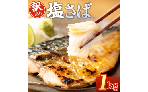 ＜訳あり＞ノルウェー産　塩さば　フィレ　約1kg_訳あり 塩さば さば サバ 鯖 フィレ ノルウェー産 大きさ 不揃い 美味しい 国産加工 簡単 調理 冷凍 人気 おかず 塩焼き 煮つけ おすすめ 送料無料【1694188】