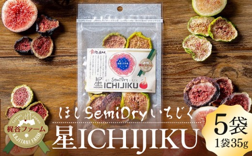1002.星ICHIJIKU 5袋 | 無花果 いちじく 果物 フルーツ 新鮮 セット 鳥取県 北栄町 産地直送 おすすめ 人気 露地栽培