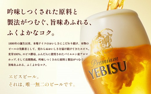 【定期便全2回】サッポロヱビスビール350ml×24本