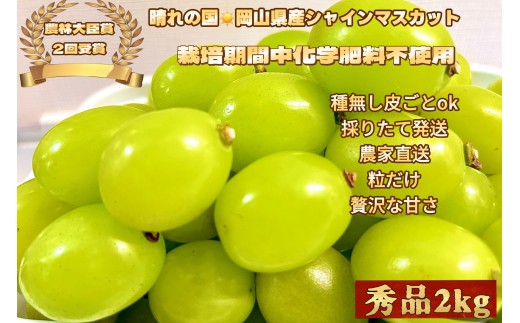ぶどう2026年  シャインマスカット 秀品 粒だけ 約2kg  家庭用  農林大臣賞2回受賞   岡山 果物 フルーツ  採りたて発送 農家直送 数量限定 新鮮 6月下旬から発送