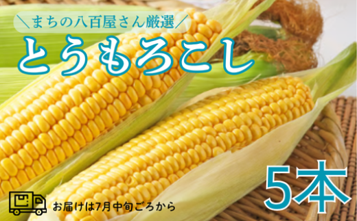予約受付 7月中旬～発送開始【2026年産】北上産 とうもろこし（キミ）5本  八百屋 季節 野菜 くだもの トウモロコシ 旬 岩手県 北上市 B0254