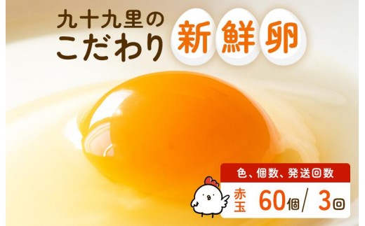 【定期便3回】九十九里ファームこだわりたまご贈答用 60個 ～あおい海・みどりの里～《赤玉》 たまご 卵 玉子 タマゴ 赤玉 卵かけご飯 新鮮 旨み 甘み 贈答用 贈答 ギフト 贈り物 千葉県 匝瑳市 2586777 - 千葉県匝瑳市