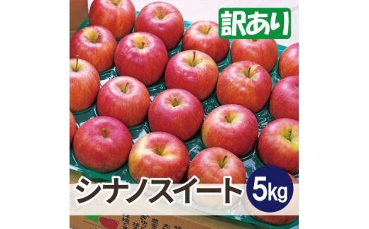 ＜27年4月より順次発送＞平均糖度13度以上! シナノスイート 約5kg 訳あり クール便【1611741】