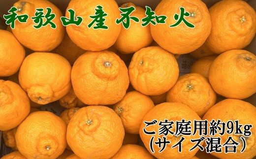 「農園直送」和歌山県産不知火 もりもりの約9kg（サイズ混合 ご家庭用）★2027年2月下旬頃より順次発送 ［TM258］