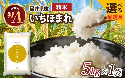 【6月発送】生活応援！【令和7年産】福井が生んだブランド米「福井県産いちほまれ」【5kg 1袋 精米】 [A-014002_06] / 米 こめ お米 いちほまれ コメ いちほまれ ごはん ご飯 いちほまれ 飯 送料無料 5kg 5キロ 福井市 福井県 いちほまれ 特A