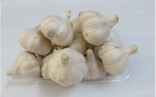 生にんにく2kg【oisk403-r-2】