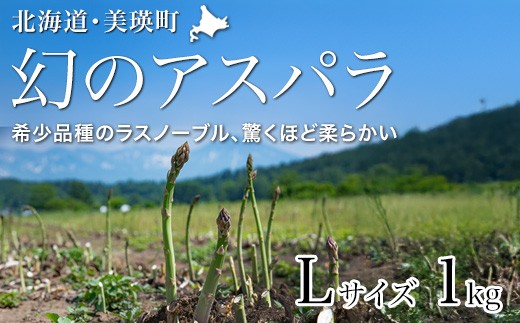 【先行予約！令和8年産】幻のアスパラ「ラスノーブル」Lサイズ 1kg グリーンアスパラ おおとり | グリーンアスパラ アスパラガス ラスノーブル あすぱら あすぱらがす 北海道 美瑛 美瑛町 北海道産 びえい 美瑛産 採れたて 新鮮 旬 産地直送 野菜[017-70]