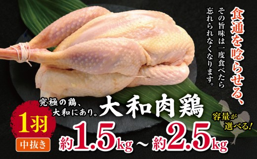 【選べる内容量】大和肉鶏 1羽 中抜き 約1.5kg / 1.8kg / 2.5kg |  肉 鶏 大和 鶏肉 かしわ うまみ 料理 和食 洋食 食卓 新鮮 食 フード 高品質 コク おすすめ だし 一貫生産 国産 通販 ギフト 奈良県 五條市