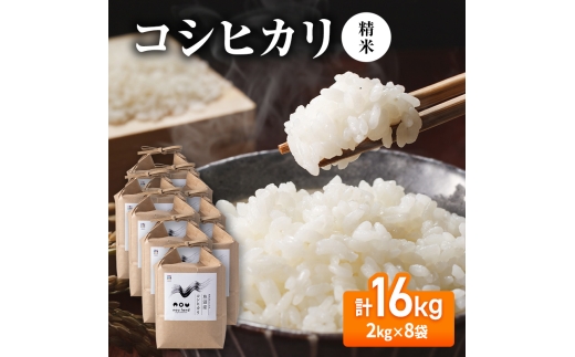 【先行予約】令和8年産 コシヒカリ精米2kg×8袋