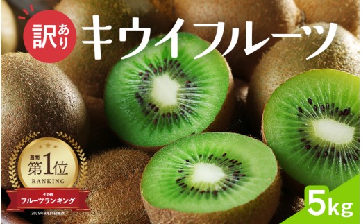 わけあり キウイ 5kg+250g（傷み補償分）扁平果 / 和歌山 家庭用 フルーツ 果物 くだもの ※2026年11月中旬より2027年4月下旬頃順次発送予定 ※北海道・沖縄・離島配送不可 【ikd712A】