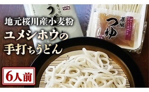 【 手打ちうどん ・ ６人前セット 】 地元 桜川産 小麦粉 「 ユメシホウ 」 使用 うどん 手打ち 麺 食品 [AN002sa]