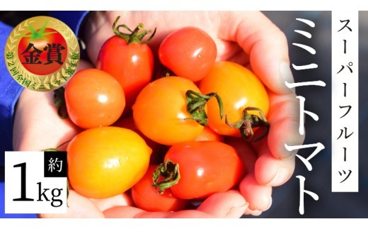 スーパーフルーツ ミニトマト 約1kg 2026年2月上旬発送開始 ミニトマト フルーツトマト ブランドトマト トマト とまと 野菜 [BC070sa]