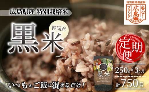 3か月定期便【安心！広島ブランド】広島県産 特別栽培 黒米 250g×１パック×3か月 国産 漆黒のサプリ 美容 健康 サプリメント 食物繊維 ミネラル ご飯 ごはん 227003